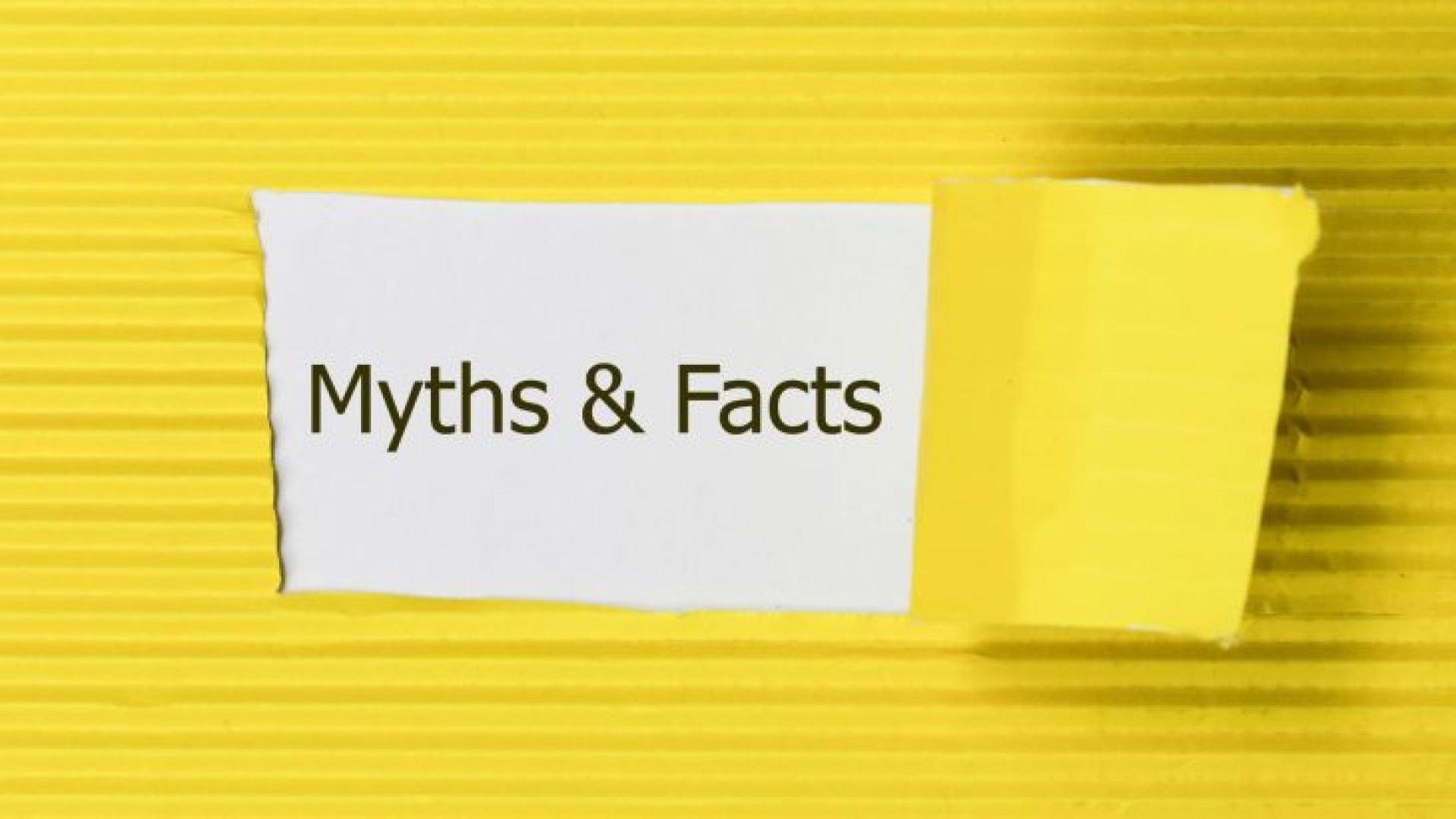 fakty i mity o afiliacji
